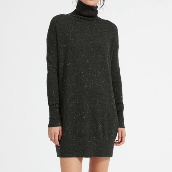 Everlane Dresses & Skirts - NWT Everlane Cashmere Turtleneck Mini Dress XS